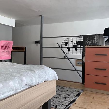 شقة Nice Apartmet N&N زادار المظهر الخارجي الصورة